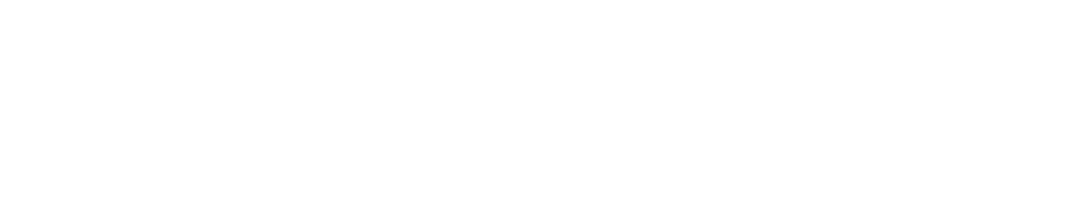 STEK logo